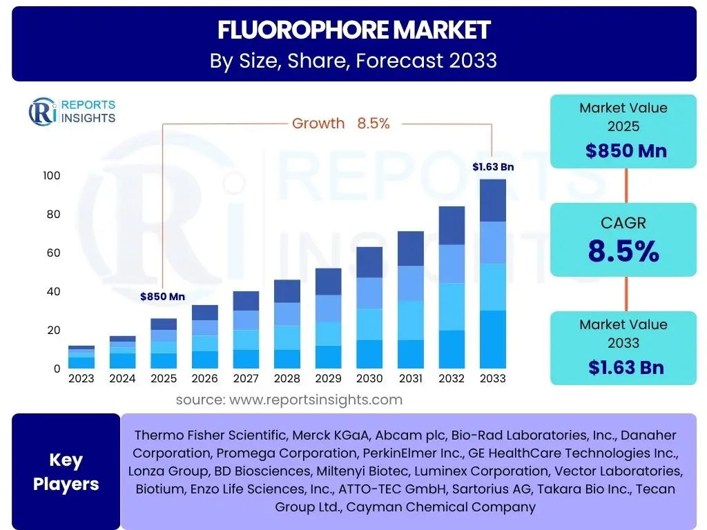 Apparel Accessory Market
