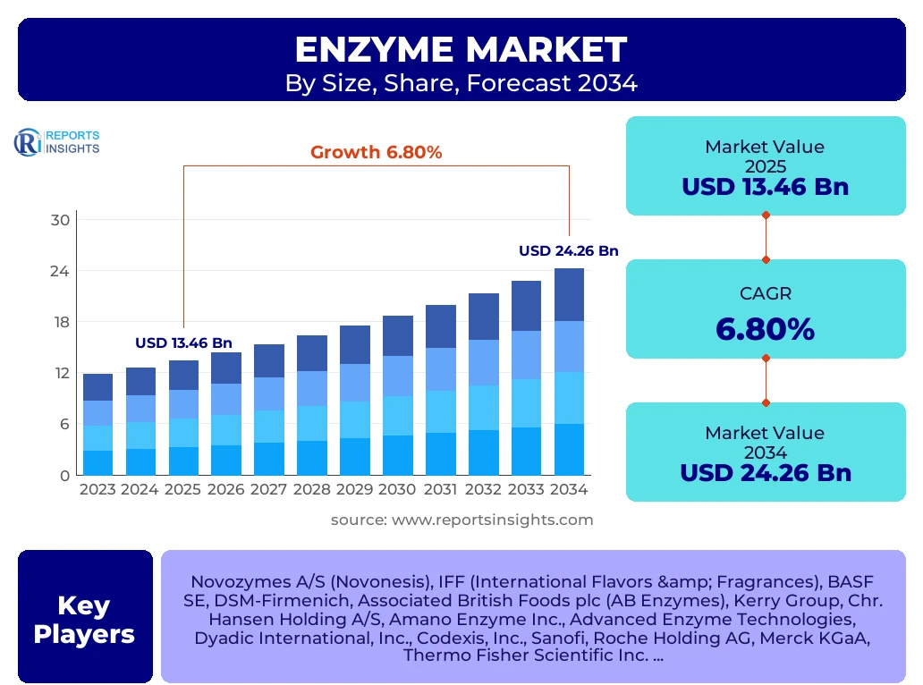 Enzyme Market