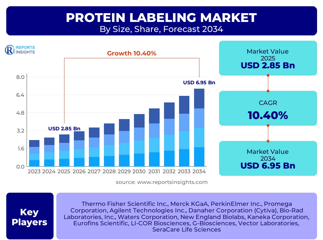 Protein Labeling Market