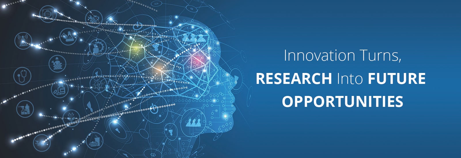 Reports Insights
